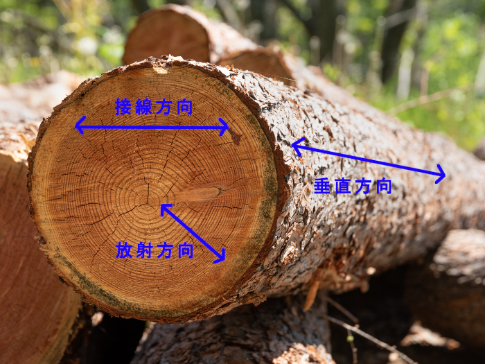 木材収縮率の違い