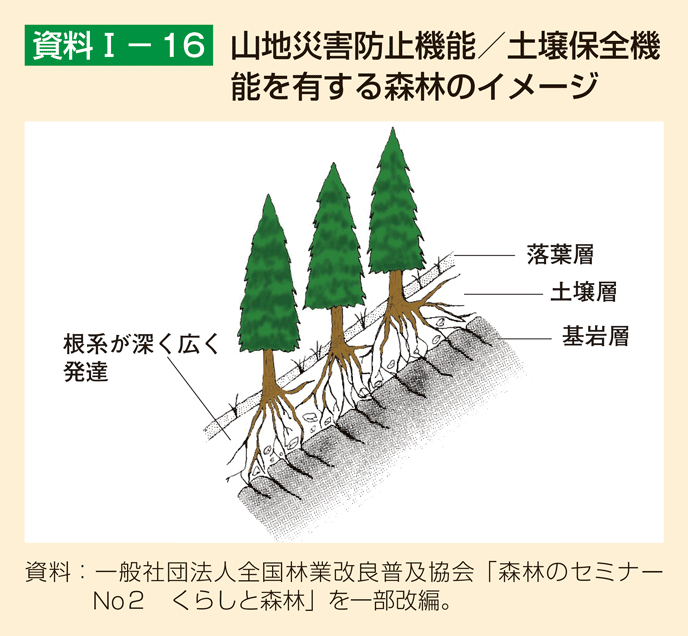 森林の自然災害抑制機能