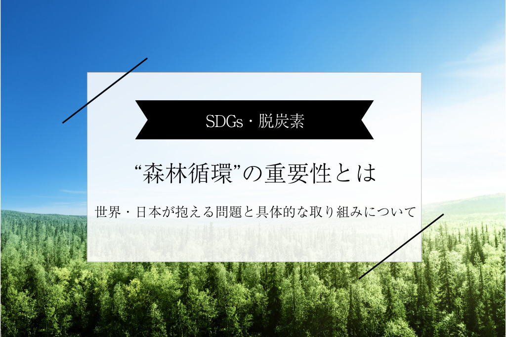 “森林循環”の重要性｜問題点・課題と取り組み事例、SDGsとの関係性