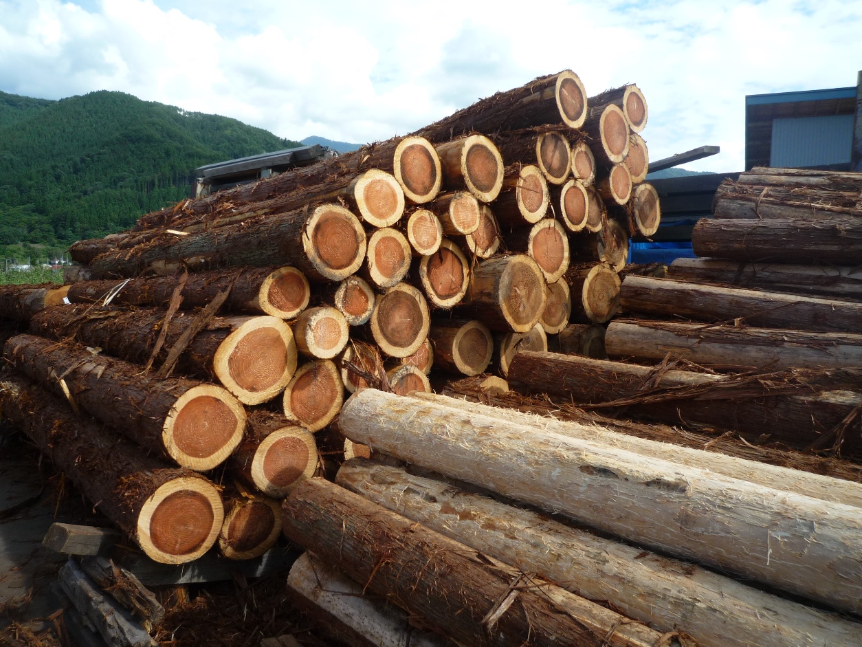 今こそ木材も“地産地消”する時代。脱炭素化に向けた地産材・地域材利用