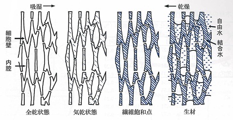 木材の含水率で強度が変わる