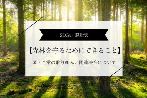 【森林を守るためにできること】国・企業の取り組みと関連法令について